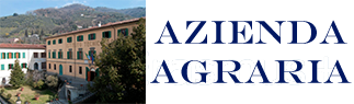 Banner-10261